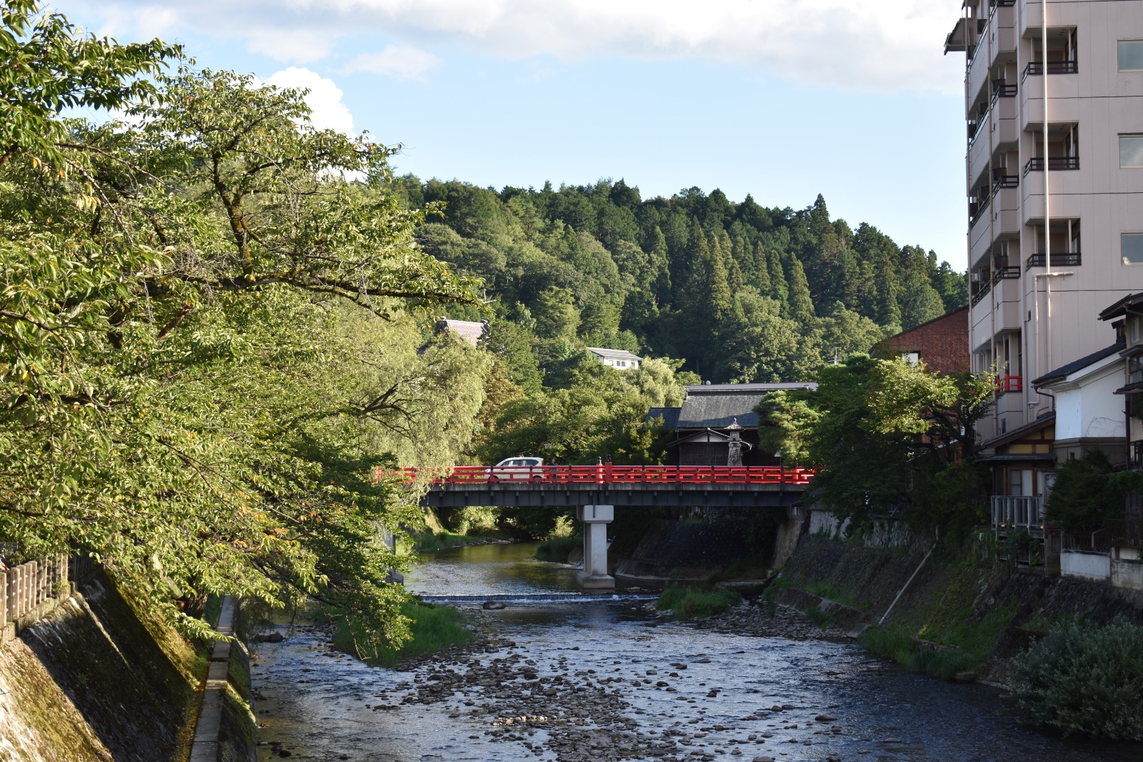 高山市、もっと元気に！プロジェクト」始動｜共生社会をつくるアート